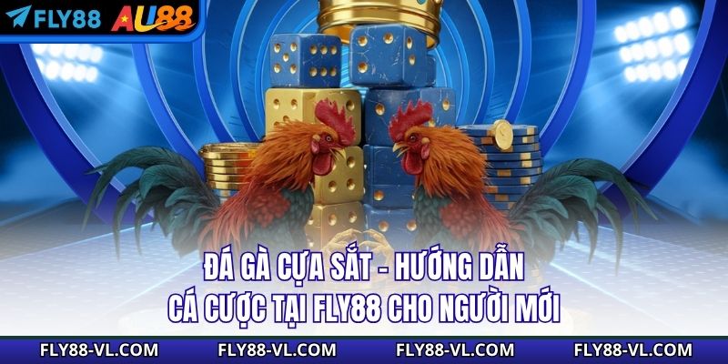 Đá Gà Cựa Sắt - Hướng Dẫn Cá Cược Tại Fly88 Cho Người Mới